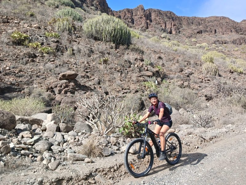 Bici